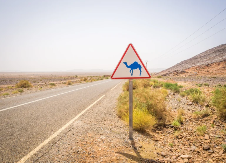 3 Days Private Tour Marrakech to Merzouga Desert Camp Atlas Mountains tour