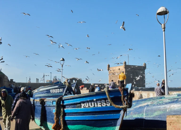 Marrakech desert trips Essaouira Day Trip from Marrakech | The Best Experience 2026