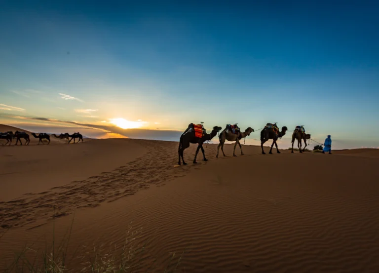 Morocco travel agency