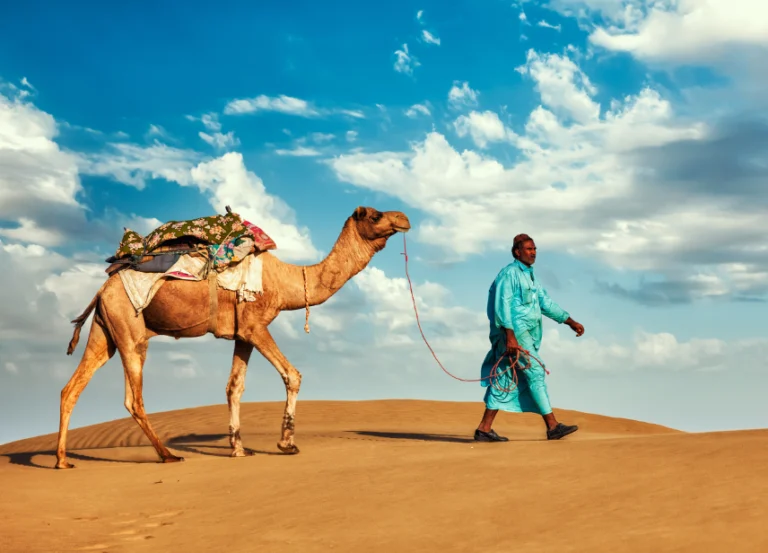 Marrakech travel agency