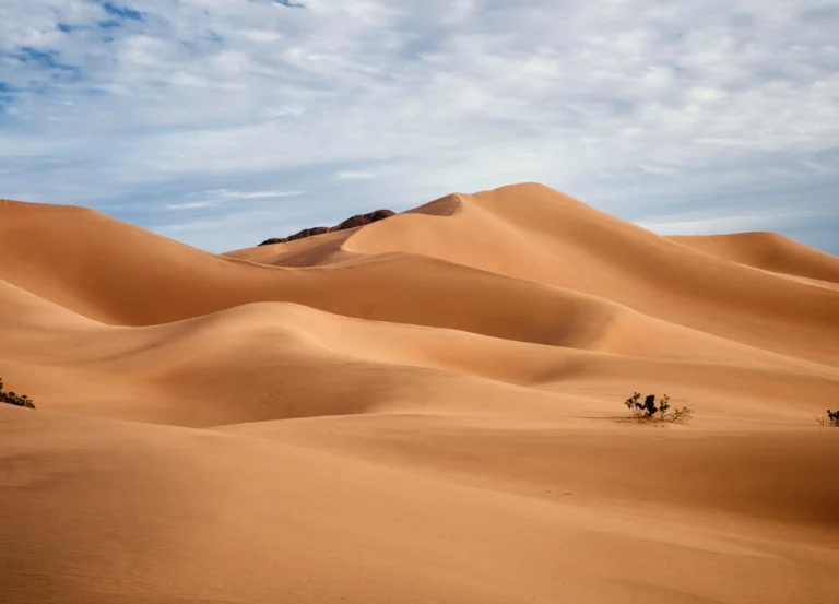 Morocco cultural tours