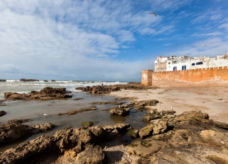 guided tours Morocco