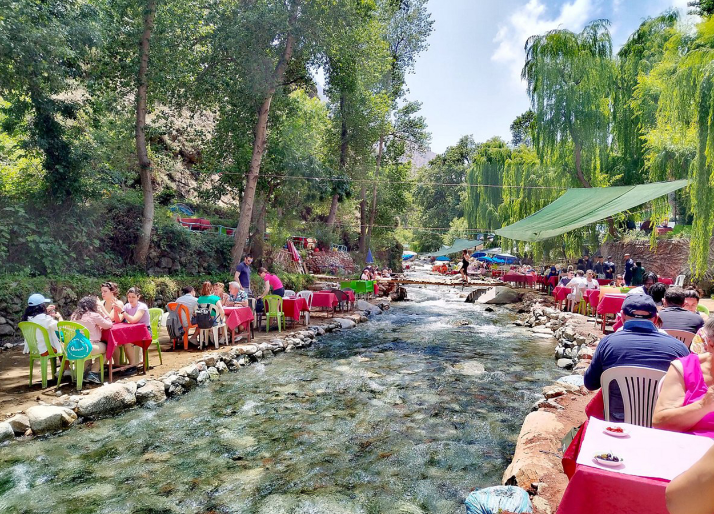 Ourika Valley Day Trip from Marrakech -The Best 1 Day Ourika Marrakech tours